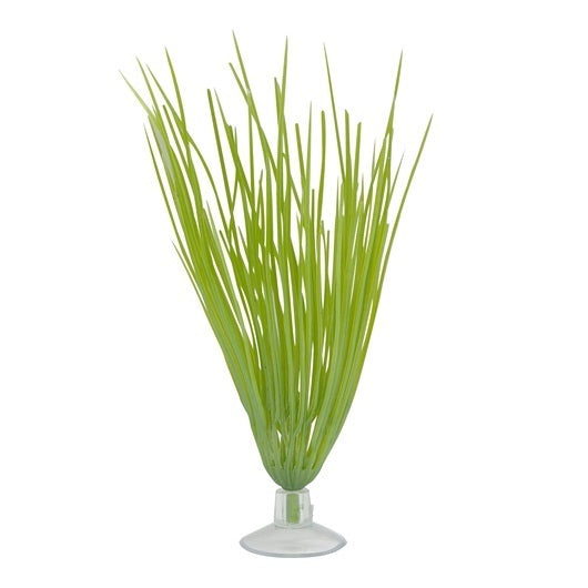 Marina Betta Plant Green Hairgrass