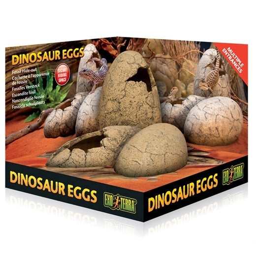 *Exo Terra Dinosaur Eggs