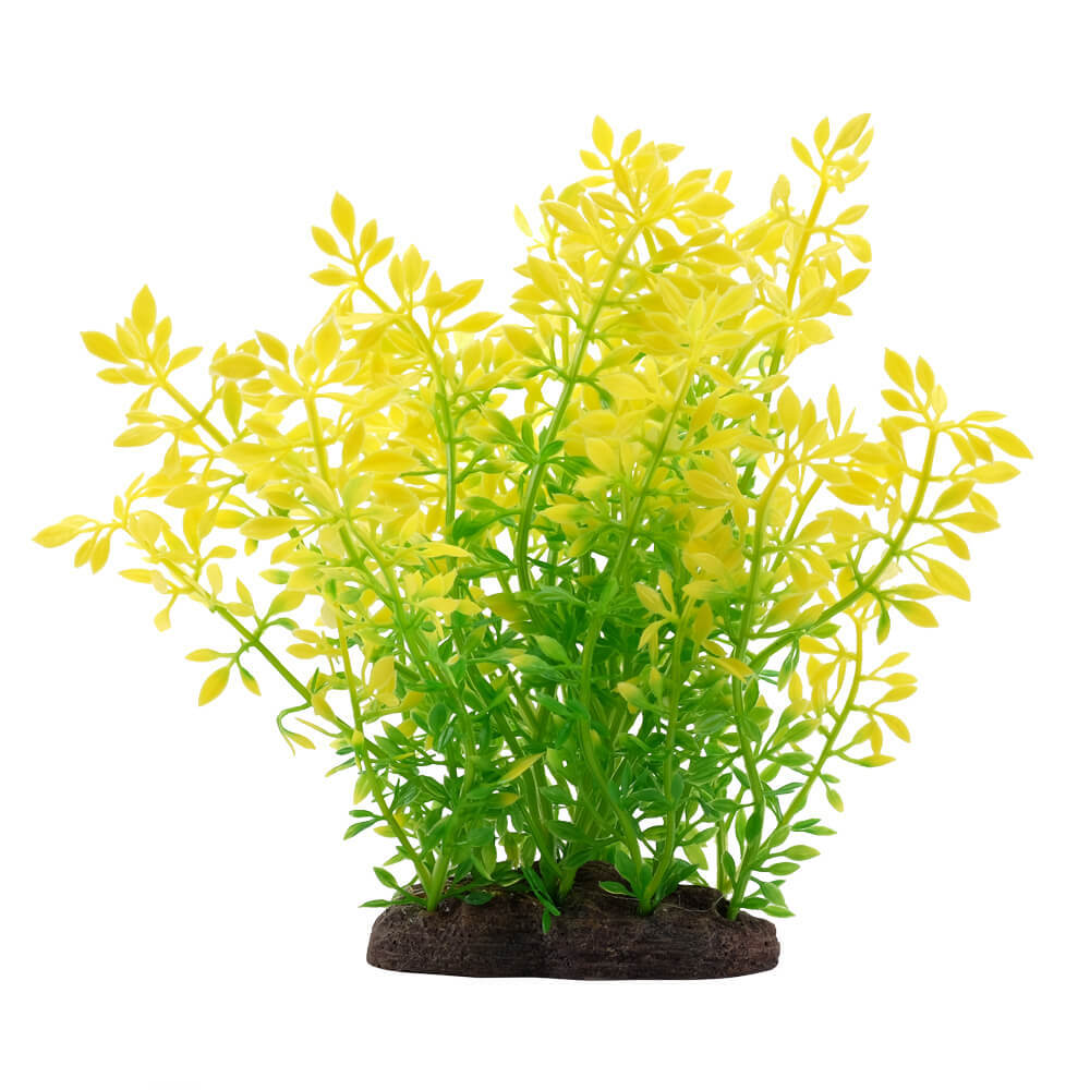 Fluval Aqualife Sunrise Water Violet 8"