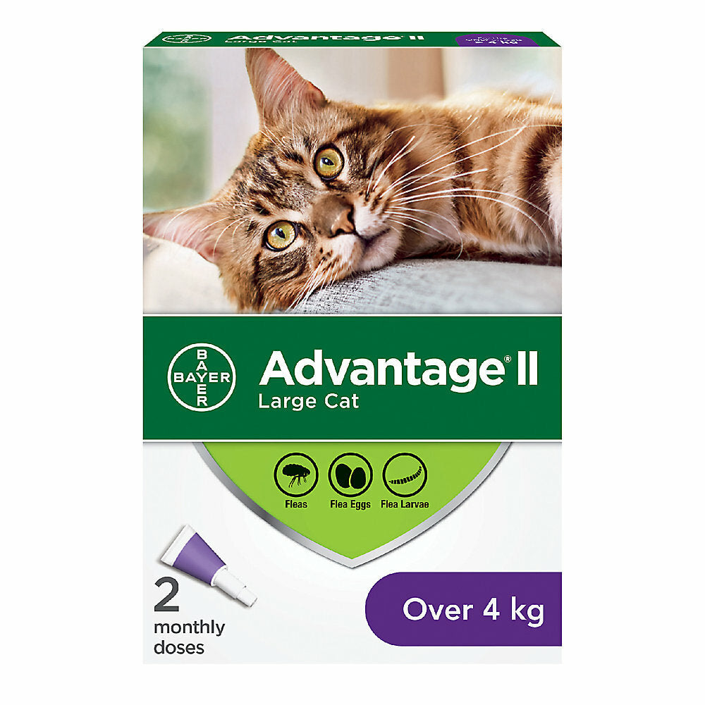 Cat Advantage II 2Pk Over 9Lbs
